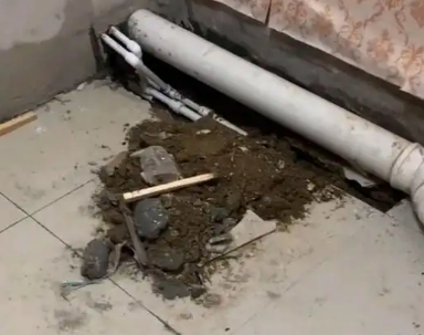 钦州市卫生间漏水检测哪家好